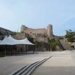 Château du Hohlandsbourg