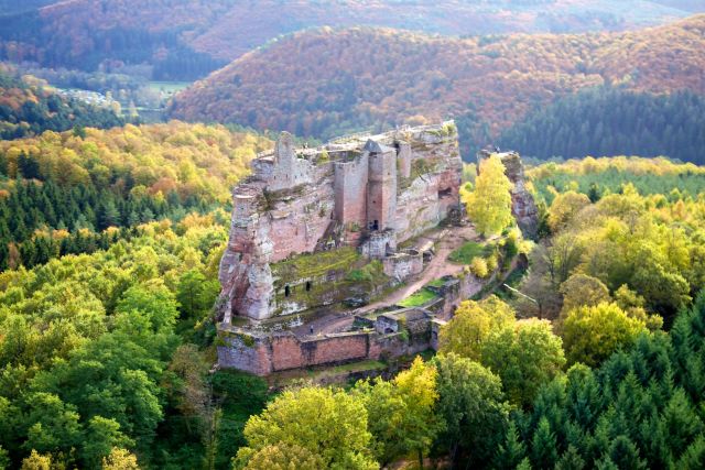 Le Château fort de Fleckenstein domine la forêt environnante
