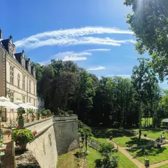 Château Gaillard: Billet coupe-file