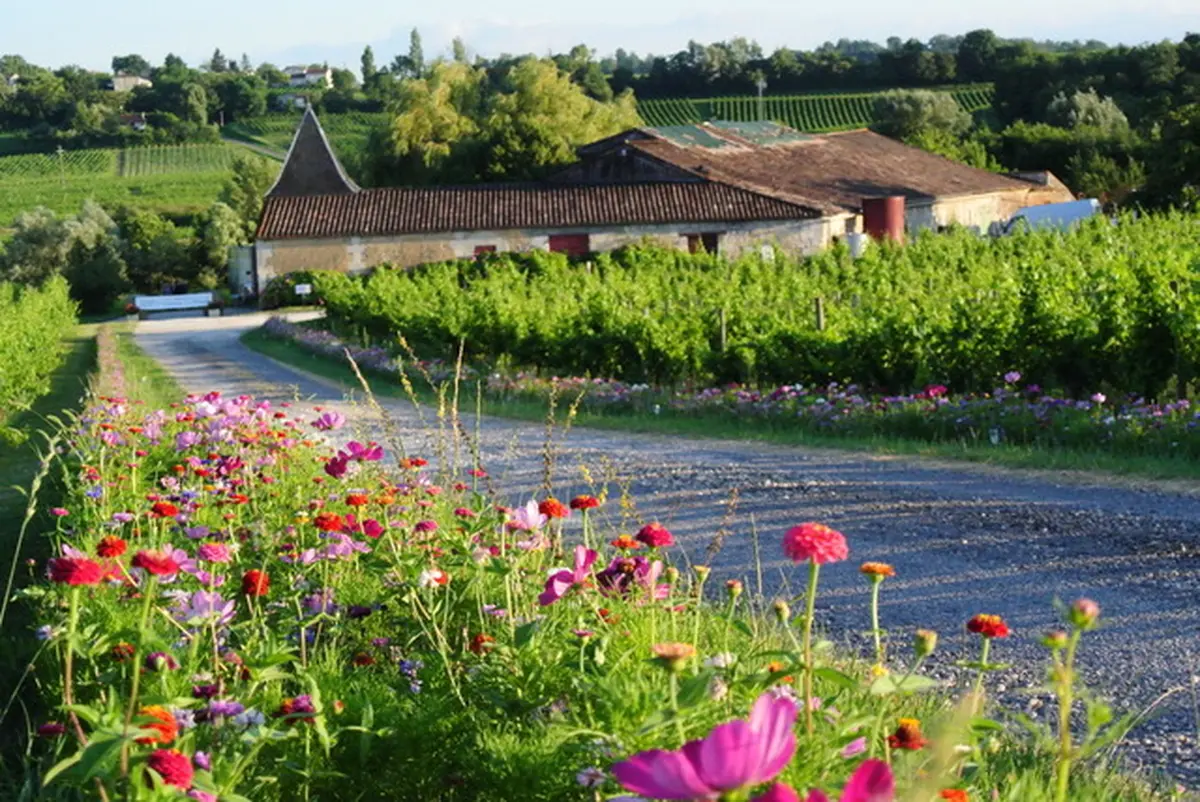 Château La Brande - Un dimanche au Château en Fronsadais-Libournais