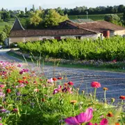 Château La Brande - Un dimanche au Château en Fronsadais-Libournais