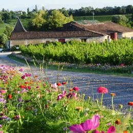 Château La Brande - Un dimanche au Château en Fronsadais-Libournais