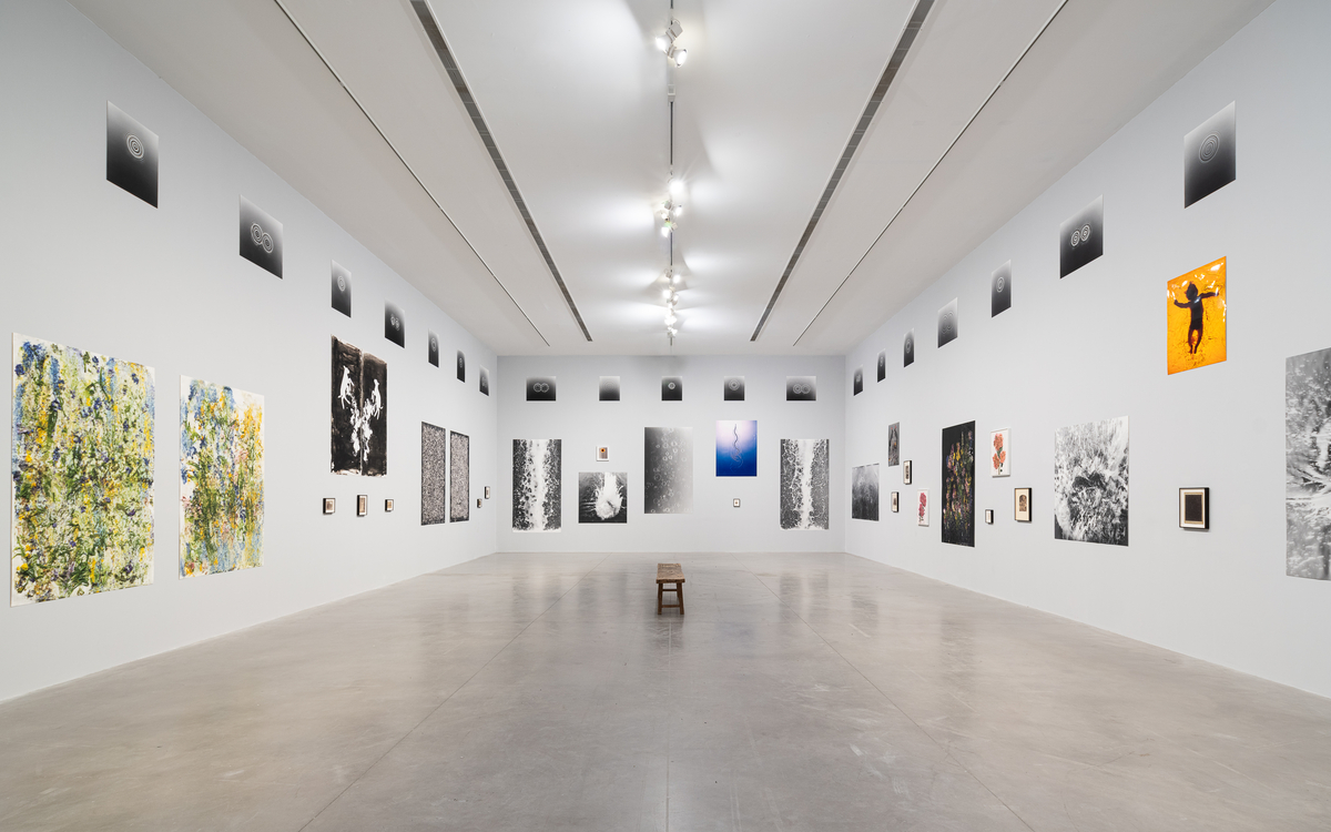 Vue de l'exposition ARK d'Adam Fuss