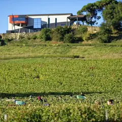 Château La Croizille