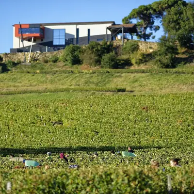 Château La Croizille