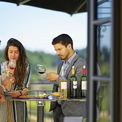 Château La Croizille : visite guidée + dégustation de vin
