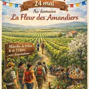 Château La Fleur Des Amandiers : Marche et repas