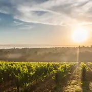 Château la Robertie | Visite et Dégustation