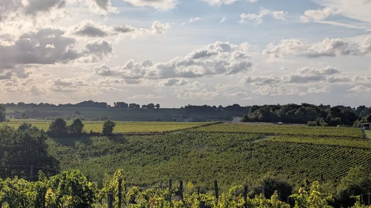 Château Mazeris - Un dimanche au Château en Fronsadais-Libournais