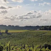 Château Mazeris - Un dimanche au Château en Fronsadais-Libournais
