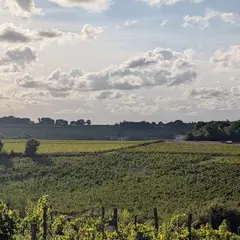 Château Mazeris - Un dimanche au Château en Fronsadais-Libournais