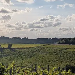 Château Mazeris - Un dimanche au Château en Fronsadais-Libournais