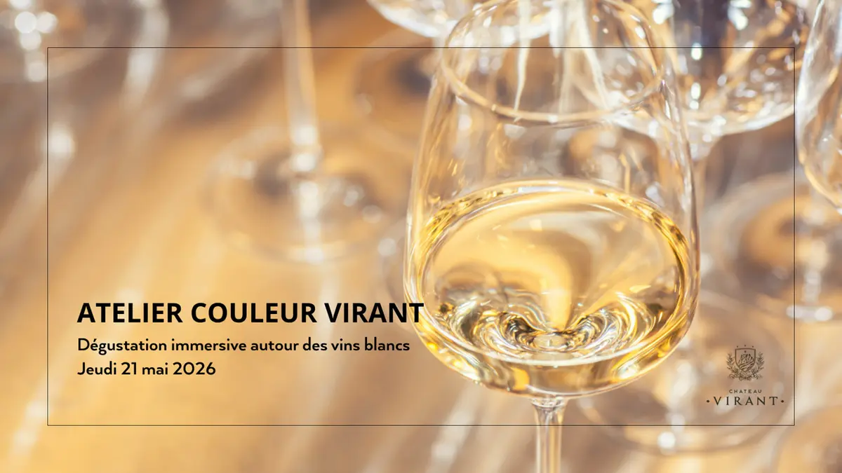 Château Virant - Dégustation des vins blancs du domaine