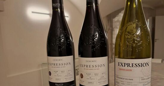 Ch&acirc;teauneuf-du-Pape : Visite guid&eacute;e de d&eacute;gustation de mets et de vins + audioguide