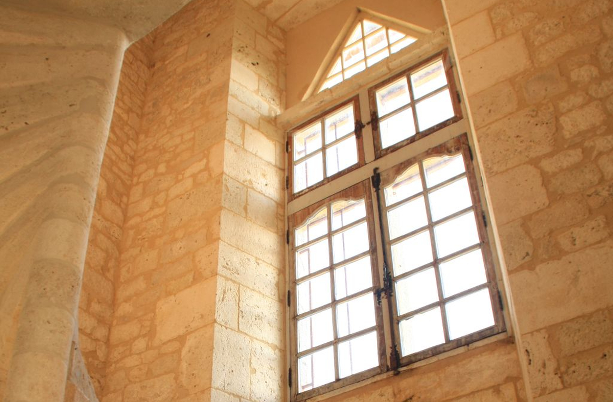 Châteaux en fête - Château de Panisseau visite du vignoble