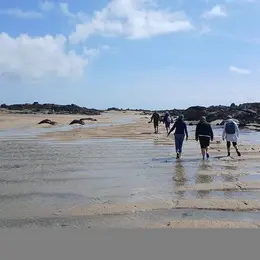 Chausey : Grandes Marées, histoire et découverte de l'estran