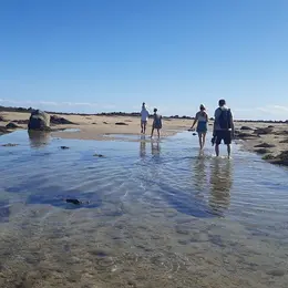 Chausey : Grandes Marées, histoire et découverte de l'estran