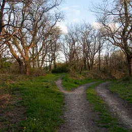 Chemin d'étang, raconte-nous la Brenne
