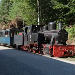 Chemin de Fer Touristique d’Abreschviller