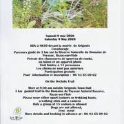 Chemin des Orchidées