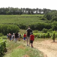 Chemin Gourmand à Nuits-Saint-Georges  &copy; Facebook / Chemin Gourmand de Nuits-Saint-Georges 