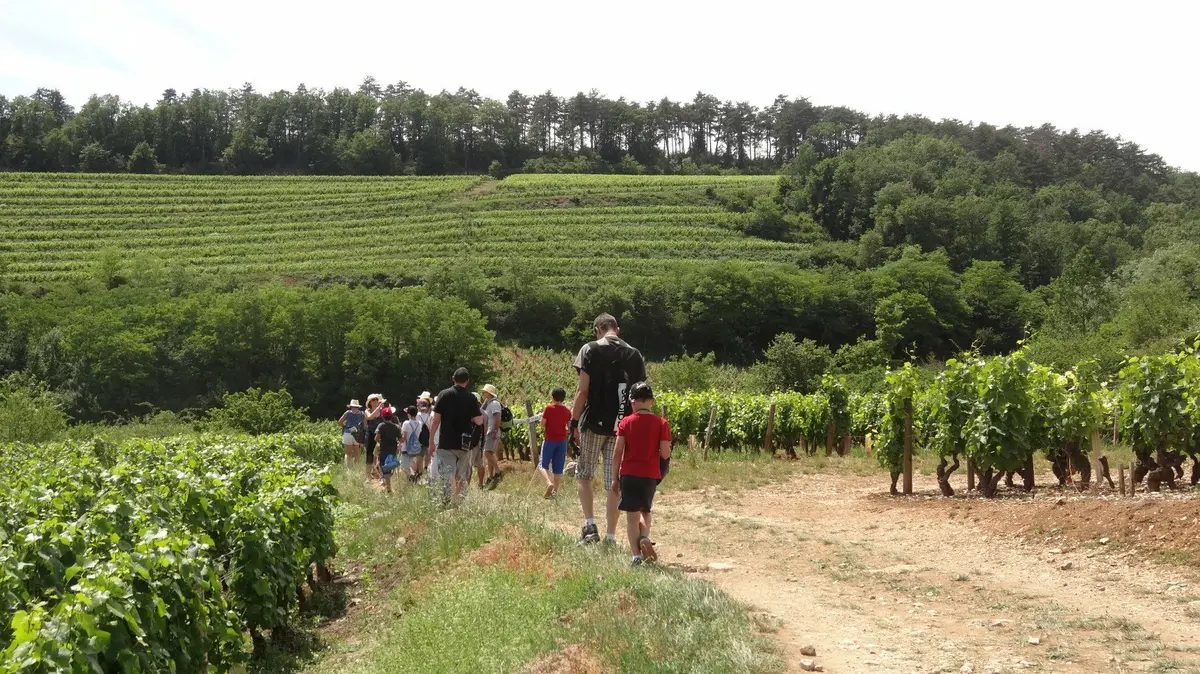 Chemin Gourmand &agrave; Nuits-Saint-Georges 