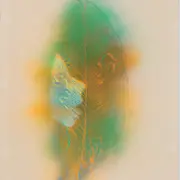 Chères créatures - exposition collections dans les murs