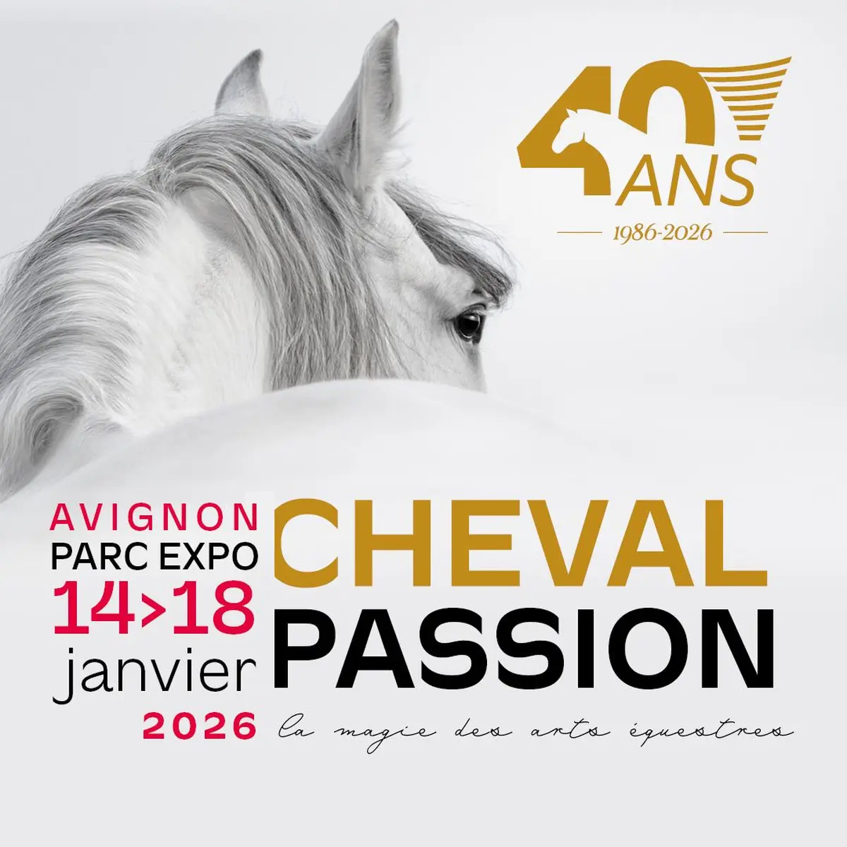 Nos amis les chevaux &agrave; l'honneur
