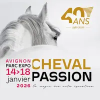 Nos amis les chevaux à l'honneur DR