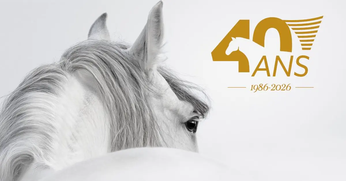 Nos amis les chevaux à l'honneur