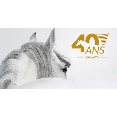 Avignon : nos 3 idées sorties du week-end