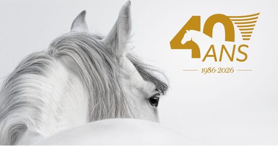 On fait quoi ce week-end en Avignon ? 3 id&eacute;es du 16 au 18 janvier 2026