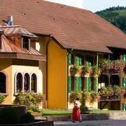 Hôtel Restaurant & Spa Julien