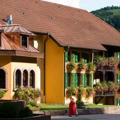 Hôtel Restaurant & Spa Julien