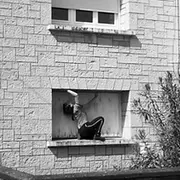 Chiendent et Brèches