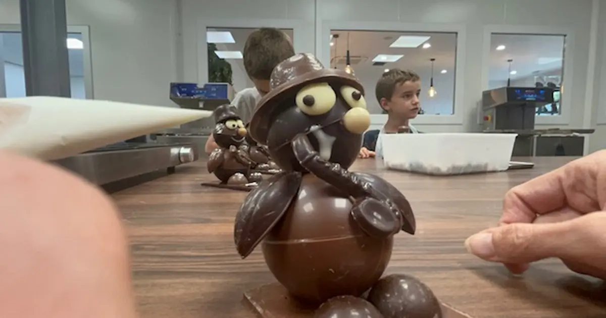Chocokids