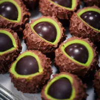 Les spécialités en chocolat de la chocolaterie Daniel Stoffel DR