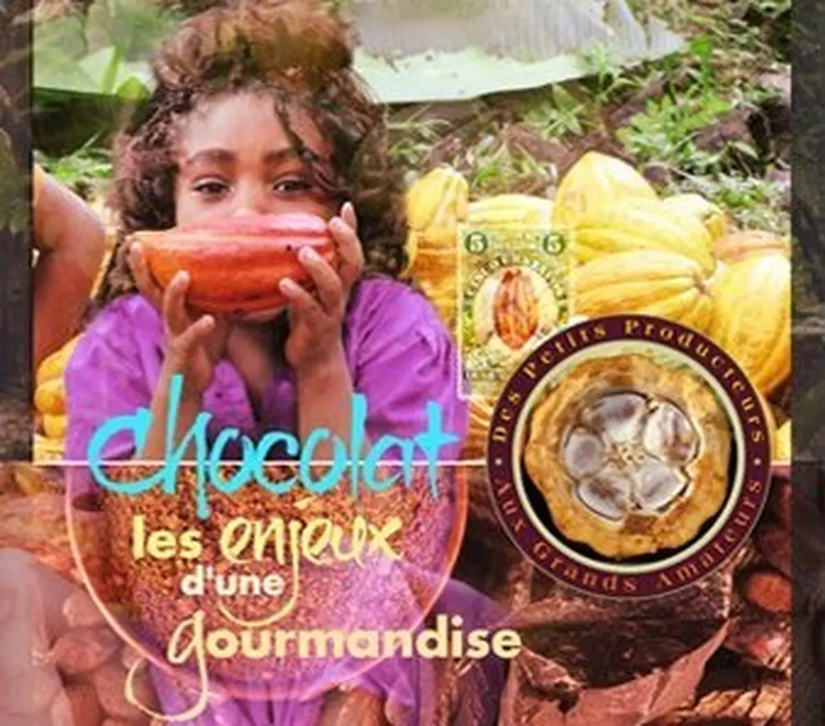 Chocolat, Les Enjeux D'Une Gourmandise