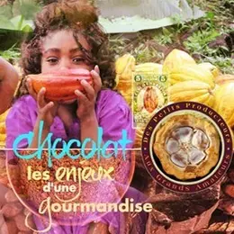 Chocolat, Les Enjeux D'Une Gourmandise