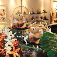 Des dinosaures à croquer pour Pâques &copy; Facebook.com/ChocolaterieDanielStoffel/