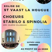 Choeurs stabilo et Spinolia