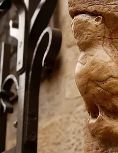 La Chouette de Dijon