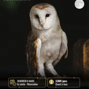 Chouette la Loire avec la Maison de la Loire