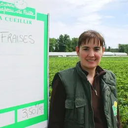 Cueillette de fraises, salades, tomates... au Paradisvogel. Venez sur le champ !
