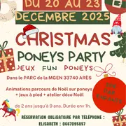 Christmas Poneys party