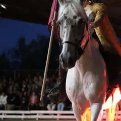 Chronique des Quatre