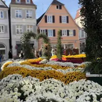 La Sonnenplatz n'attend que votre visite &copy; Stadt Lahr