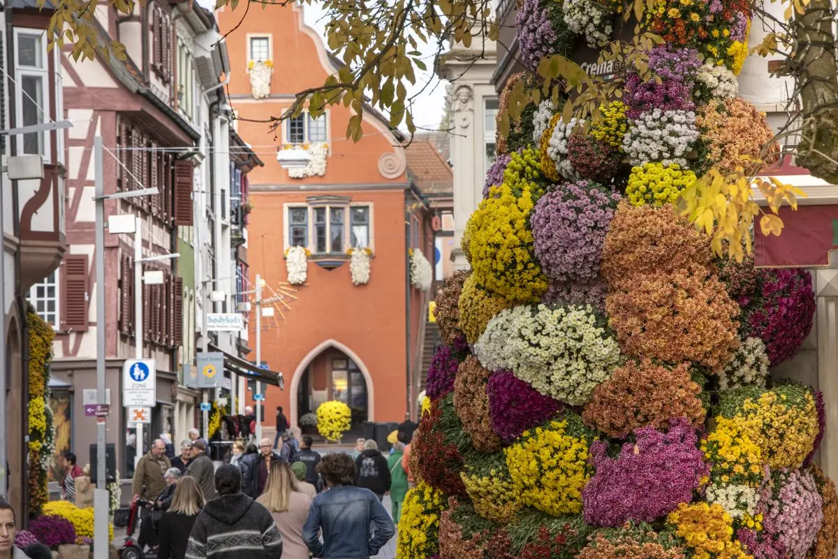 Les jolies rues de Lahr