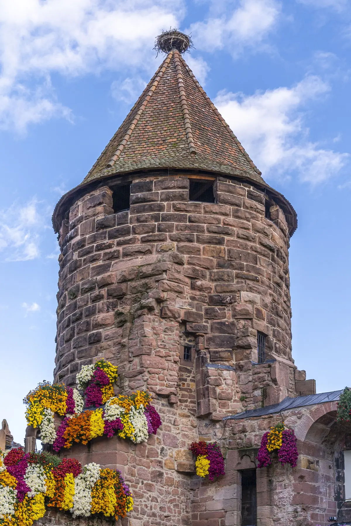 La Storchenturm habillée de mille fleurs