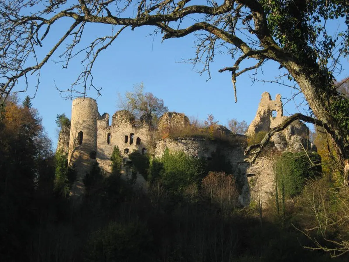 Château de Morimont